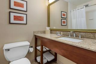 Comfort Inn Lancaster County North - Denver - 1