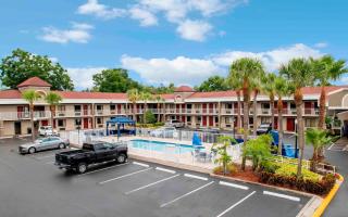 Hotel South Tampa & Suites - Tampa - 3