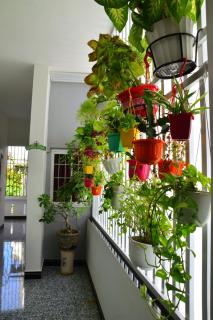 Blossom Homestay - Tuy Hoa - 8