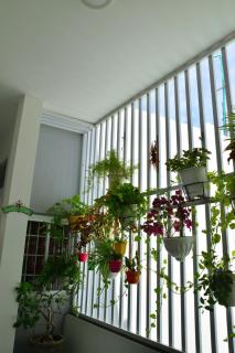 Blossom Homestay - Tuy Hoa - 6