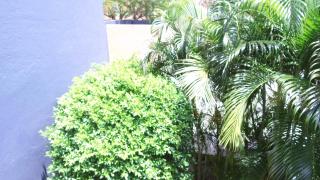 Hotel Calli - Santo Domingo Tehuantepec - 4
