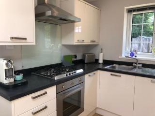 Sun Terrace Lodge Weybridge - Oatlands Park - 4