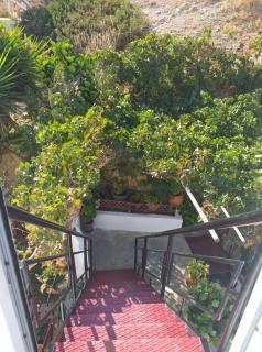 Alexandra`s House - 2