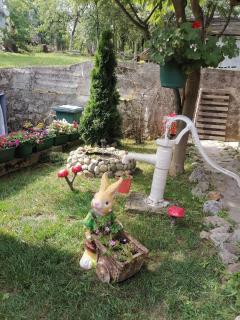 Apartman IVANA - Vrdnik - 1