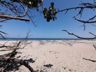 MIVALS - Santa Marta - 0