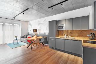 The Cloud Suite Apartments - Friburgo em Brisgóvia - 7