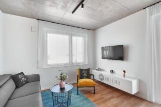 The Cloud Suite Apartments - Friburgo in Brisgovia - 8