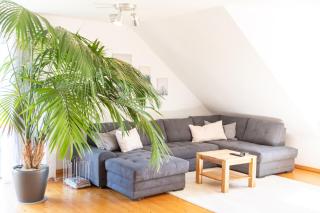 Großzügige Ferienwohnung für Gruppen und Familien im Raum Bamberg Erlangen - 1