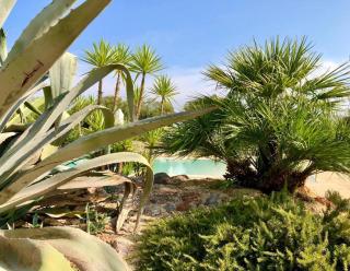 I Love Trullo - Country Boutique Apartments - Villa Laura Ostuni - Ostuni - 6