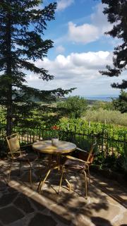 Apartment and rooms Parus - Capodistria - 6
