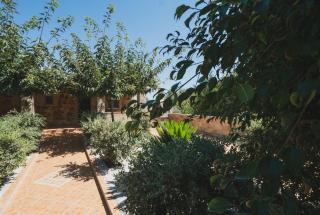 Family Home near Beach - Kato Galatas - 5