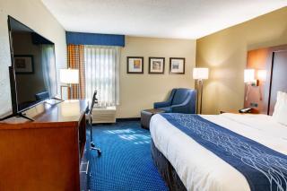 Comfort Inn - Piketon - 1