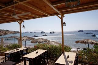 Umbi Sharks Bay Diving Village - 1