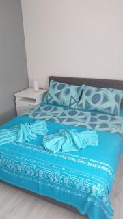 Apartments Kamenjar - Novi Sad - 1