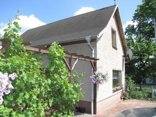 1A Ferienhaus Winter - Dobbertin - 9