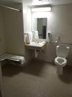 La Quinta Inn by Wyndham Tampa Near Busch Gardens - Tampa - 9