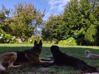 O Lughar Darriba Fogar Natural - 1