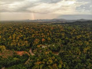 La Laguna del Lagarto Eco-Lodge - Pital - 5