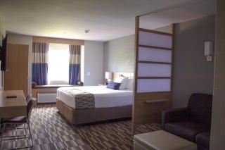 Microtel Inn & Suites by Wyndham Camp Lejeune/Jacksonville - Jacksonville - 7