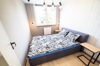 Apartament Piano Centrum - Racibórz - 3