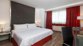 Holiday Inn Buenavista by IHG - Città del Messico - 9