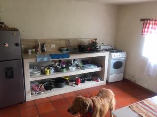 Finca San Carlos 100% pet friendly - 2