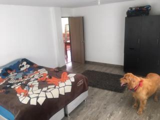 Finca San Carlos 100% pet friendly - 4