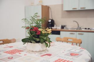 Nel cuore la Puglia - Conversano - 7