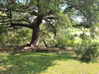 Hill Country Haute n Haus Relax and Renew - Fischer - 0