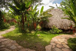 Buddy's Hostel & Pousada Alto Paraiso - 4