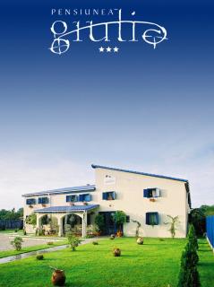 Pension Giulia - Timişoara - 0