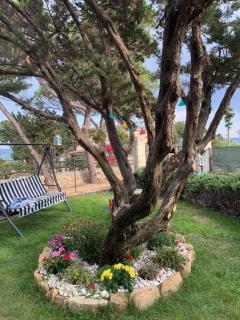 Villa Edo - Cala Liberotto - 8