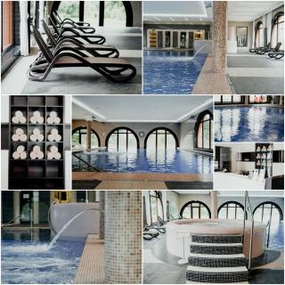 Hotel Pałac Krotoszyce Basen&Spa - 1