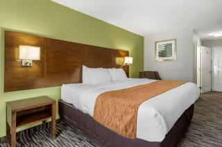 Comfort Inn & Suites North Little Rock JFK Blvd - 4