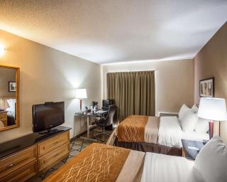 Comfort Inn Gatineau - Gatineau - 3