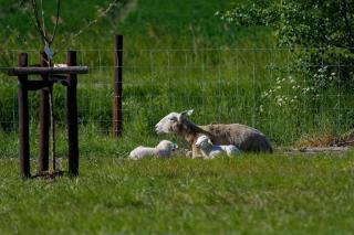 Hof Welzinge - Ritthem - 9