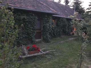 Vadszőlős Porta - Ispánk - 3