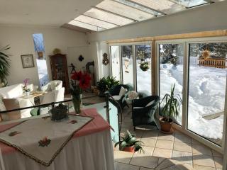 Landhaus Lührmann - Ramsau am Dachstein - 5
