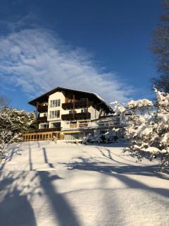 Landhaus Lührmann - Ramsau am Dachstein - 9