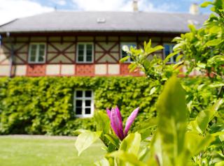 Bernstorff Castle Hotel - Gentofte - 9