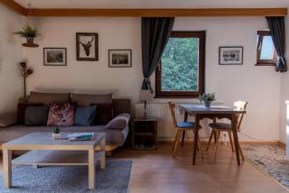 Apartment, Haus Lederer - Zell am See - 1