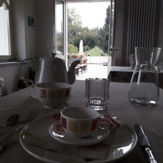 La Vite e l'Ulivo - 2