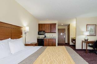 Comfort Inn - 8