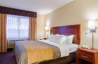 Comfort Inn - 3