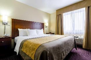 Comfort Inn - 1