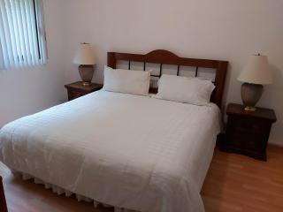 Steinhaus Suites Homero - Città del Messico - 3