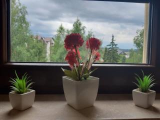 Zlatibor Relax - SPA - Zlatibor - 9