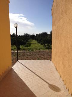Villa Bulcrini - Sant' Isidoro - 9