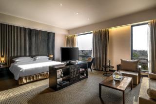 Hyatt Raipur - Raipur - 2
