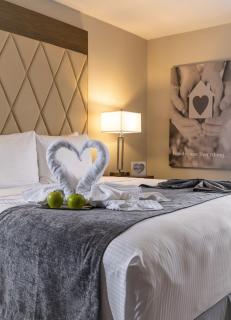 Palazzo Lakeside Hotel - Kissimmee - 7